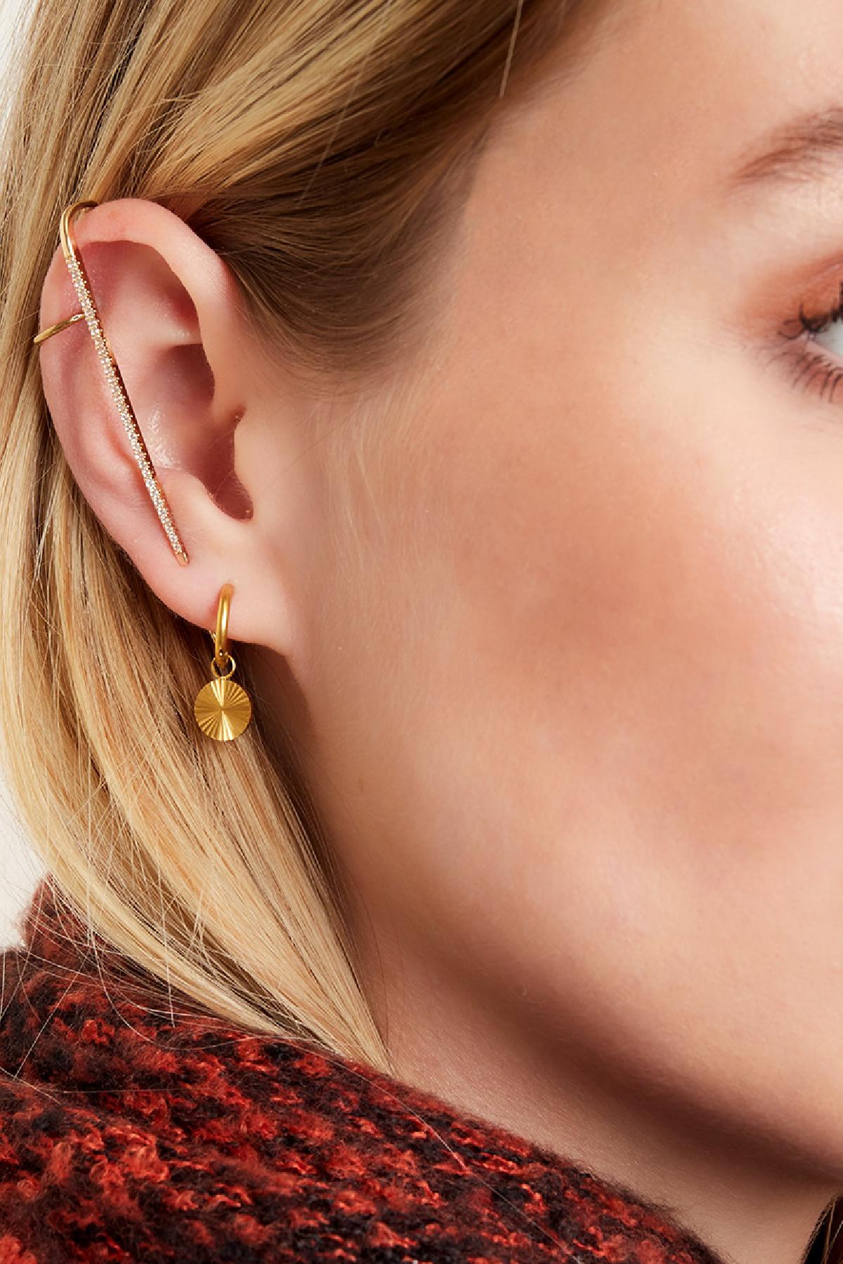 stainless steel earrings circle 