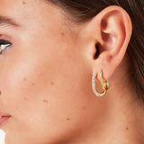 Oval hoops Stainless Steel