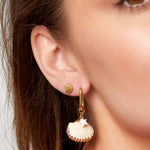 shell stud earrings