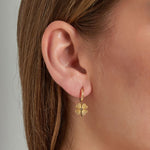 give me luck earrings
