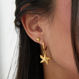 earrings special starfish