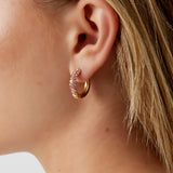 Shiny Rings earrings