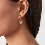 earrings with turtle