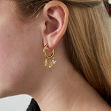 sea life earrings