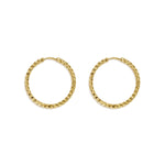 Stainless Steel Hoop Earrings Circle Simple Daily Simple Series Women's jewelry