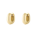   Hoop Earrings irregular shape rectangle Casual Daily Simple Series Women's jewelry