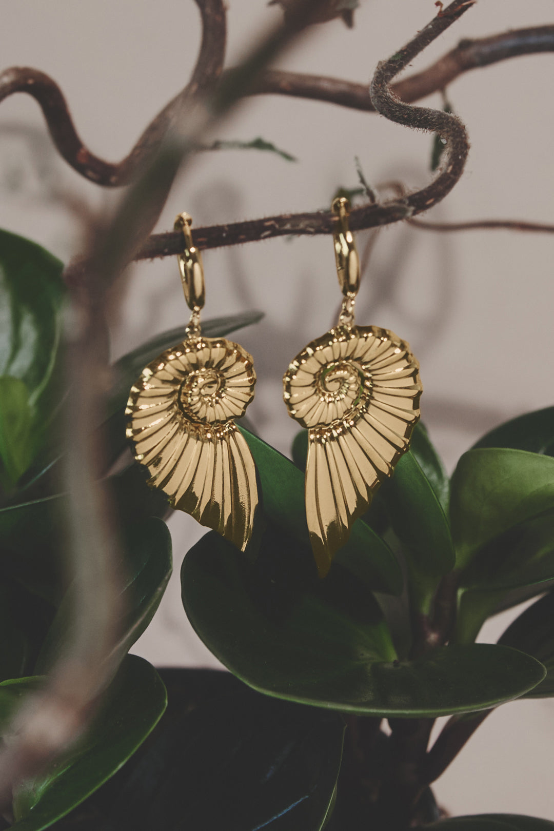 Small hoop earrings with large twist shell charm