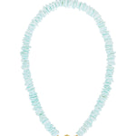 Seashell Necklace