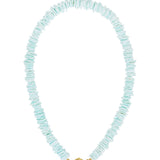 Seashell Necklace