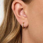 small earrings with stones