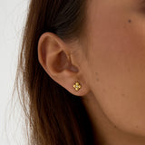 Clover earrings with stone