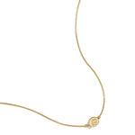 Minimalist necklace with small spiral shell