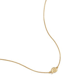 Minimalist necklace with small spiral shell