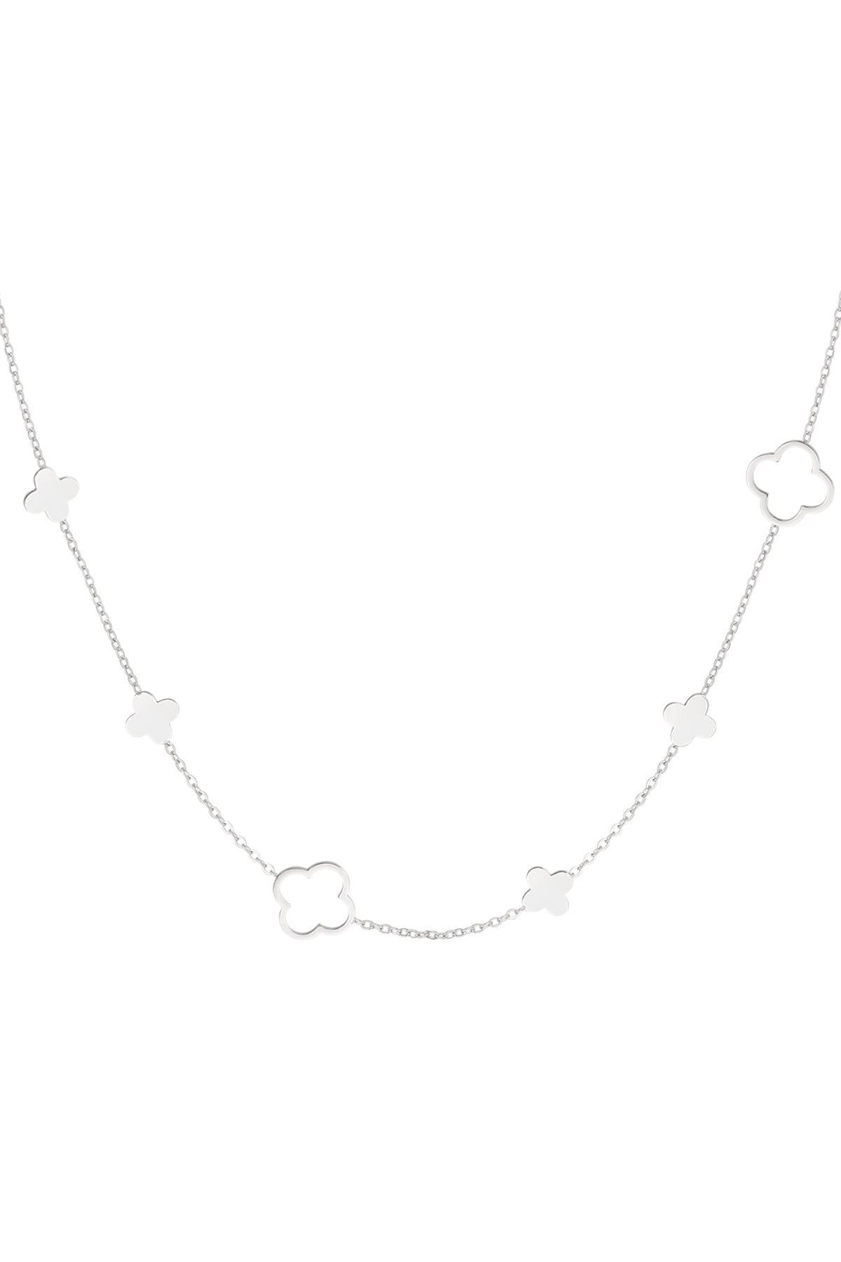 necklace different clovers