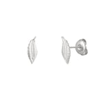 Ear stud feather - Gold Color Stainless Steel