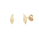 Ear stud feather - Gold Color Stainless Steel