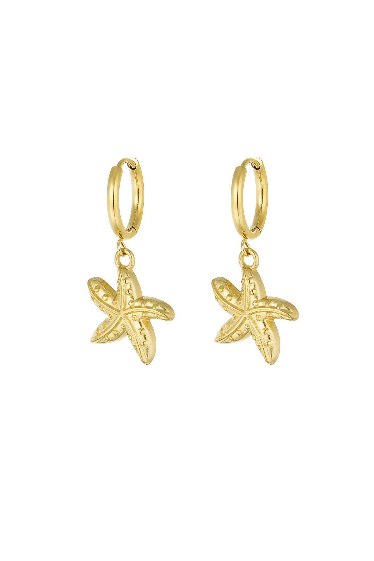 earrings special starfish