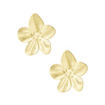 earrings petal pop