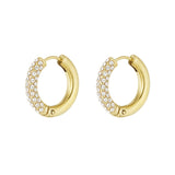 Shiny Rings earrings