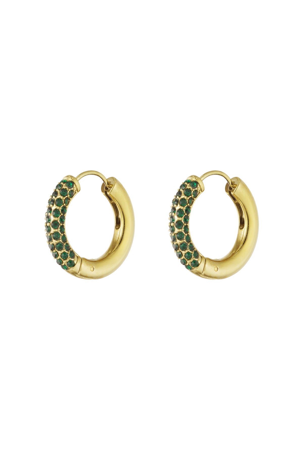 Shiny Rings earrings