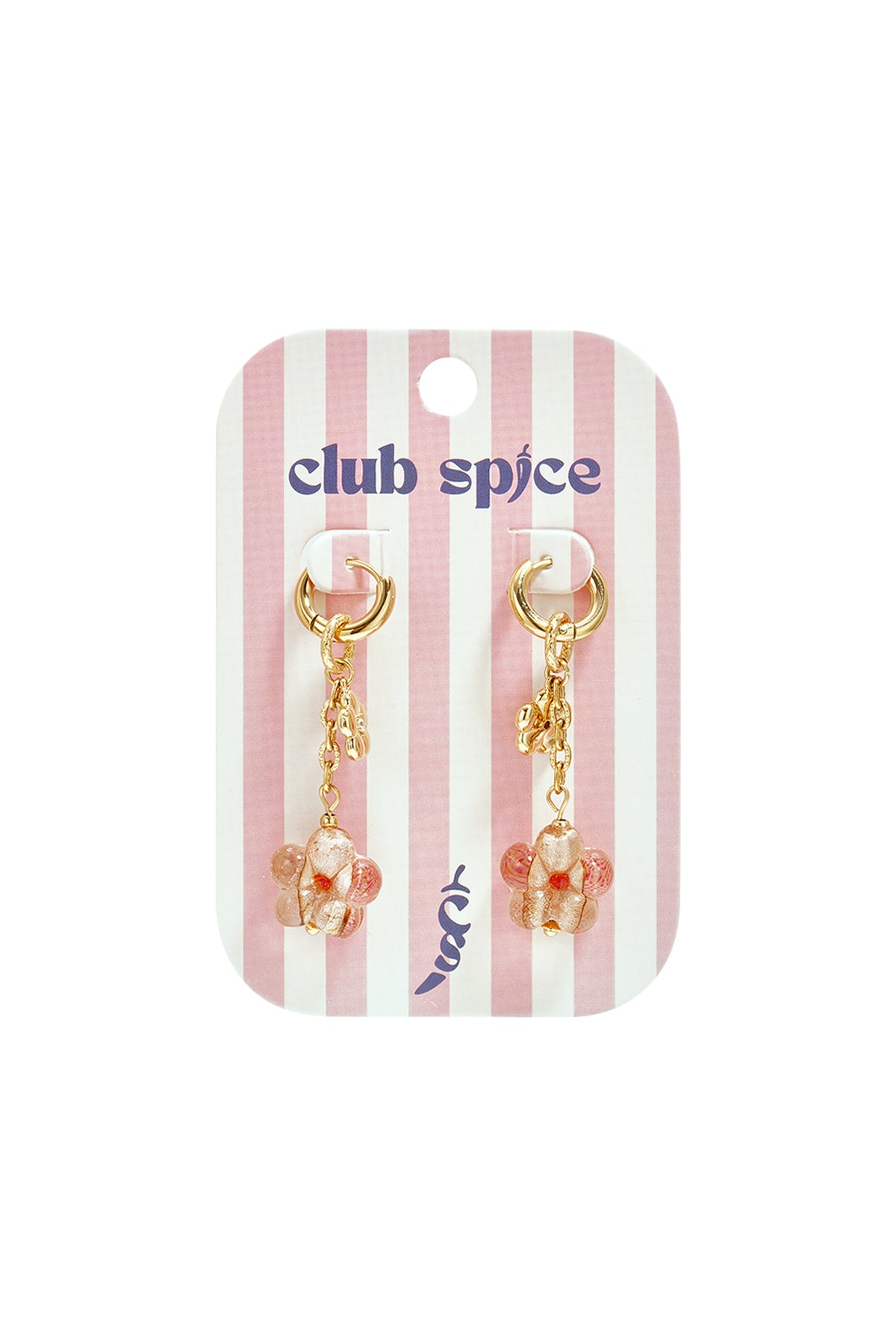 Stainless Steel Dangle Earrings Flower Vacation Daily Romantic Series Women's jewelry