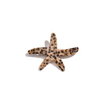 Hair Clips Starfish Daily Imitation Acetate Sheet Daily Accessories