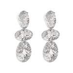 Stainless Steel Dangle Earrings irregular shape Casual Daily Simple Series Women's jewelry