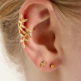 Ear cuff plant