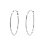 Basic Hoop Earrings