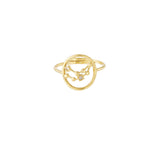 12 Zodiac Rings