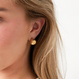 Striking spherical earrings
