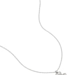 lucky charm necklace