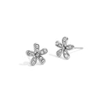 Stainless Steel Stud Earrings Flower Simple Daily Simple Series Women's jewelry