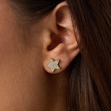 Stainless Steel Stud Earrings Star Simple Daily Simple Series Women's jewelry