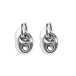 Stainless Steel Drop Earrings Irregular Shape Casual Daily Simple Series Women's jewelry