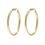 Stainless Steel Hoop Earrings Casual Daily Simple Series Women's jewelry