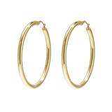 Stainless Steel Hoop Earrings Casual Daily Simple Series Women's jewelry