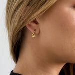 Stainless Steel Drop Earrings Geometric Shape Simple Daily Simple Series Women's jewelry