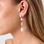 Stainless Steel Dangle Earrings Shell Simple Daily Simple Series Women's jewelry