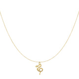 Love Poison necklace