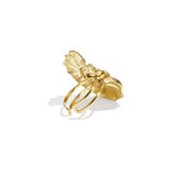 Spiral shell statement ring