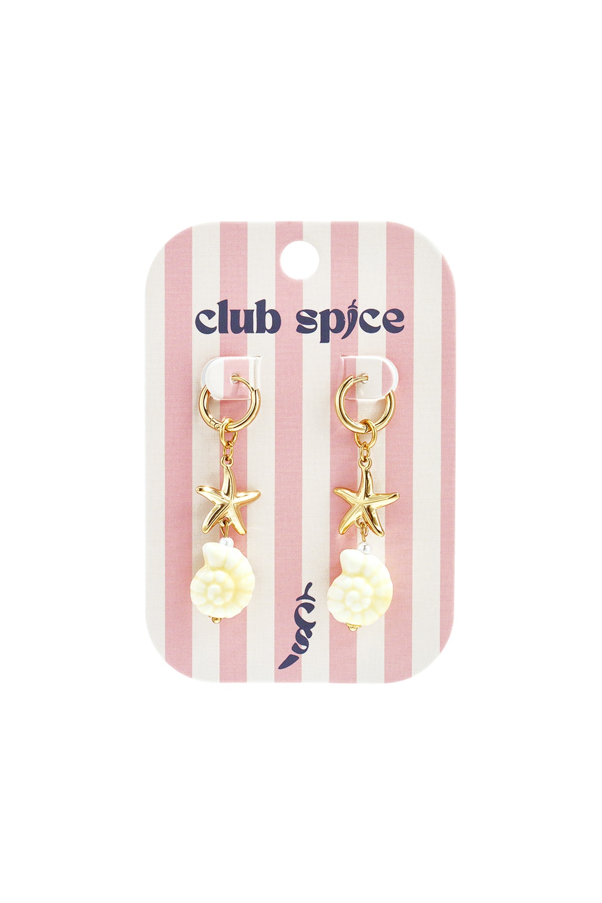 Stainless Steel Drop Earrings Shell Vacation Holiday/Beach Simple Series Women's jewelry