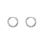 Stainless steel earrings