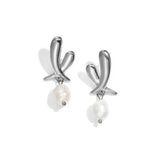 Stainless Steel Drop Earrings Irregular Shape Casual Daily Simple Series Women's jewelry