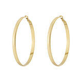 Basic Hoop earrings thick