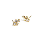 Earrings with round stones