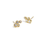Earrings with round stones