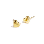 Bold Heart Stainless Steel Earrings