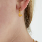 Pure heart Earrings