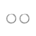Stainless Steel Hoop Earrings Circle Simple Daily Simple Series Women's jewelry